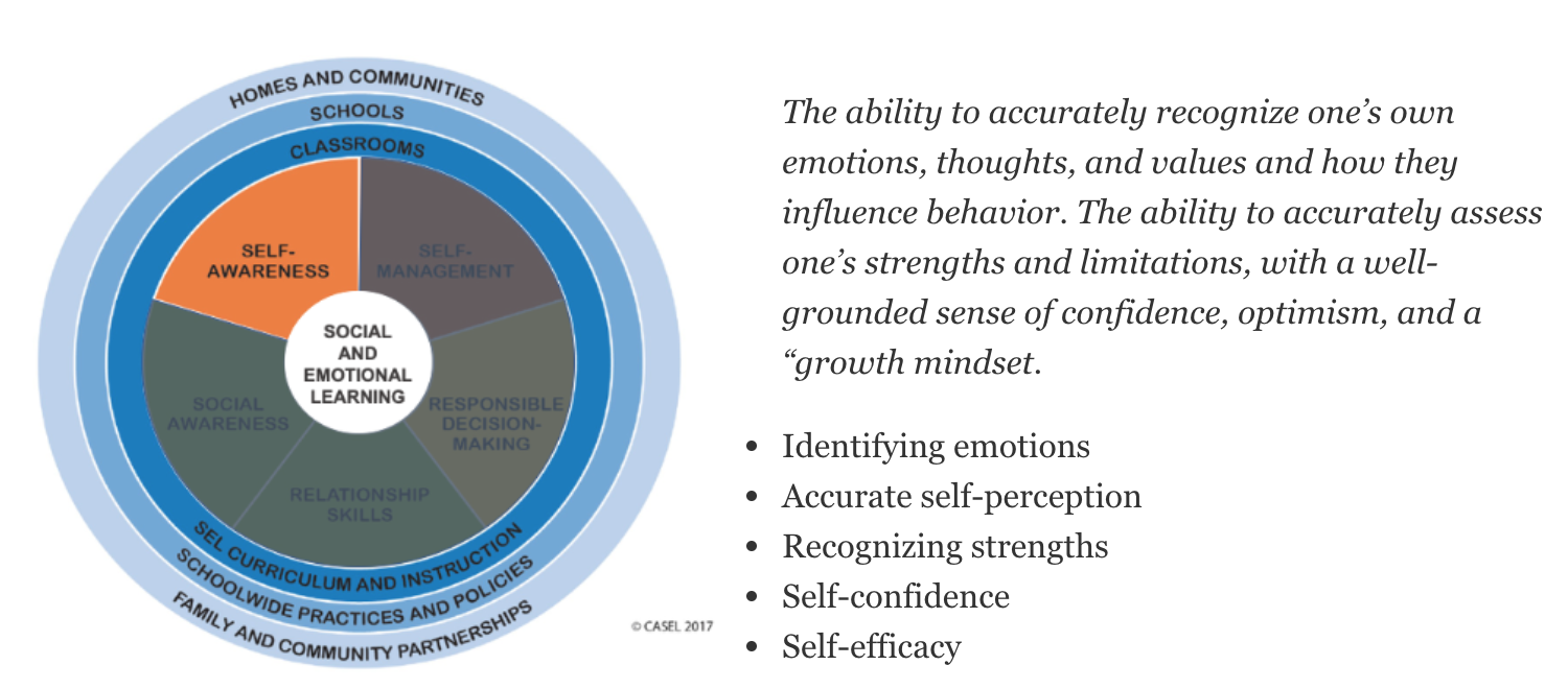 unpacking-the-casel-framework-in-sel-leadership-pilot-program-arete