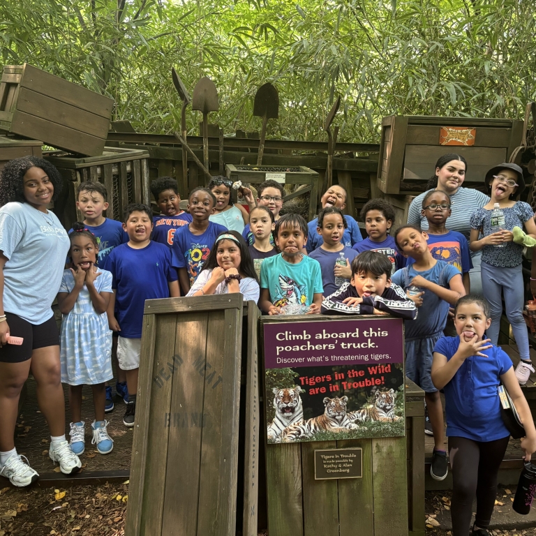 2nd grade Bronx Zoo